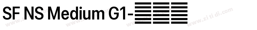SF NS Medium G1字体转换 SF NS Medium G1字体转换